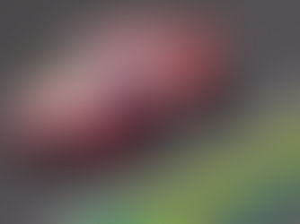 Bruna Tomaselli reforça SG28 Racing no grid da Stock Light 2025