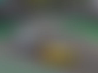 A Porsche Cup tem 21 temporadas de história, com dez delas realizando campeonatos de sprint, de endurance e atribuindo ao maior pontuador de ambos o título overall. Nunca um mesmo piloto levantou os três troféus no mesmo ano. Esta é a meta de Marçal Muller e da equipe Farben em 2026.