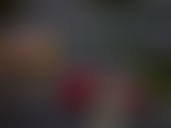 Vitória molhada e eletrizante marca a etapa da Endurance Brasil em Interlagos