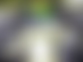 A etapa de Brasília da Fórmula 1600, válida pela 3ª rodada do Campeonato Paulista e abertura da Copa Brasil, foi construída em dois atos distintos e complementares. Entre intervenções, mudanças de liderança e decisões fora da pista, o fim de semana apresentou um panorama técnico exigente e resultados definidos nos detalhes.