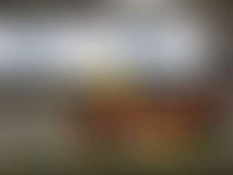 Lucas Bornemann busca top 3 na Copa Truck em Goiânia