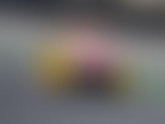 Gabriel Casagrande segue pelo 12º ano na Stock Car e busca o tetracampeonato