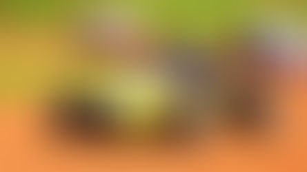 Santa Proteção Veicular assina Troféu Campeão Overall da ZanoelloCup 2025