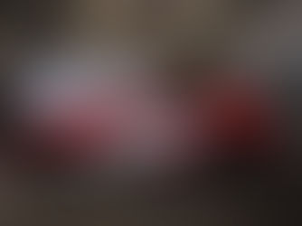 Da nostalgia do Opalão à era dos SUVs: a história da Stock Car brasileira