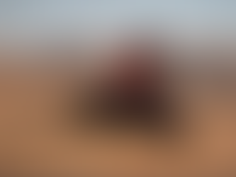 Marcelo Medeiros, pentacampeão dos quadriciclos, confirma participação no Sertões 2024