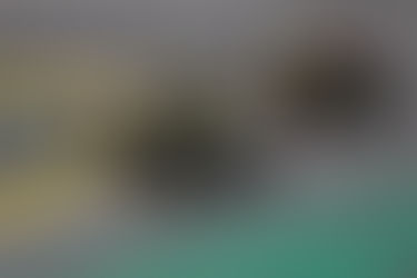 Daytona 660 CUP mantém parceria com a DURAG Factory Racing no MOTO1000GP em 2026