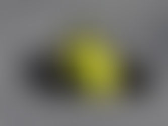 Dante Monteiro Conquista Vitória na Divisão Light da Fórmula 1600