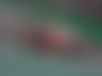 Na despedida da atual geração de carros da Stock Car, piloto MobilTM Dudu Barrichello disputa o título em Interlagos