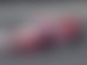 Bruna Tomaselli estreia na Stock Car Pro Series