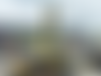 NASCAR Brasil Series: Gui Backes e Léo Torres vencem a última corrida da temporada 2024