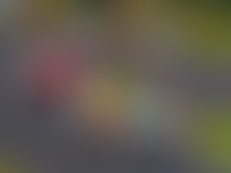 Jorge Martelli conquista o título do campeonato nacional da NASCAR Brasil 2024, na categoria Challenge