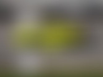 Manthey estreia na IMSA com protagonismo em Daytona e encerra Rolex 24 com top-5 e presença constante na liderança