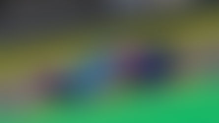 EMS Racing vê pódio do 500 km da Porsche Cup escapar após ter carro abalroado dentro do box