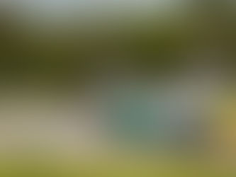 O Time Lubrax TMG, patrocinado pela Vibra, saiu com o saldo positivo da primeira corrida da temporada 2026 da Stock Car. Julio Campos largou em 10º e chegou em 9º lugar na corrida sprint deste sábado, em Curvelo (MG), enquanto Felipe Massa foi um dos pilotos que mais ganhou posições, partindo da 17ª posição e chegando na 11ª.