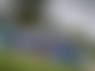 Stock Car: com desempenho forte em treinos nas últimas etapas, Cacá Bueno mira resultado positivo em Goiânia