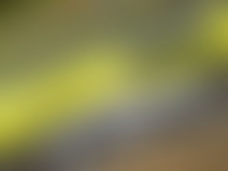 Porsche Cup C6 Bank: Marçal Muller lidera treino da Carrera com 0.747 de margem sobre Antonella Bassani