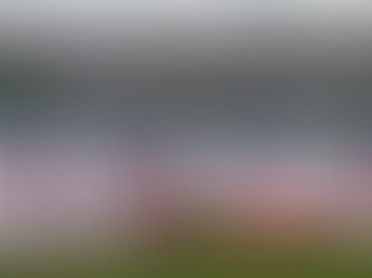 Porsche Cup C6 Bank: Muller vence e Paludo é campeão da Carrera nos metros finais