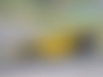 Fórmula eVolution: Categoria abre temporada com novidades e muita disputa