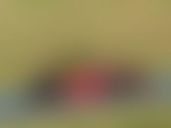 F-1600: Marcel Fachini volta a completar todas corridas e conquista outra vitória na segunda prova em Interlagos, mantendo liderança do campeonato