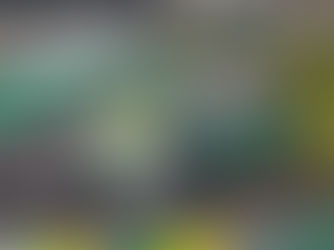 Copa Truck Elite acelera forte nos Treinos 1 e 2 de sexta-feira em Interlagos, e Giaffone é o mais rápido