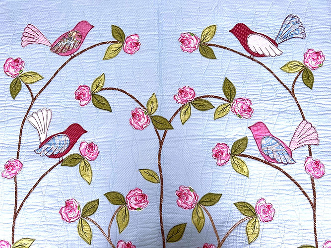 love birds close up