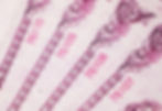 List of Anti-counterfeit Printing Pattern(Guilloche) | Moire | Anti-copying | Watermarking