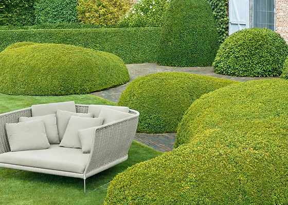 Ami ソファ | PAOLA LENTI JAPAN