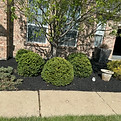 Landscaping customers home