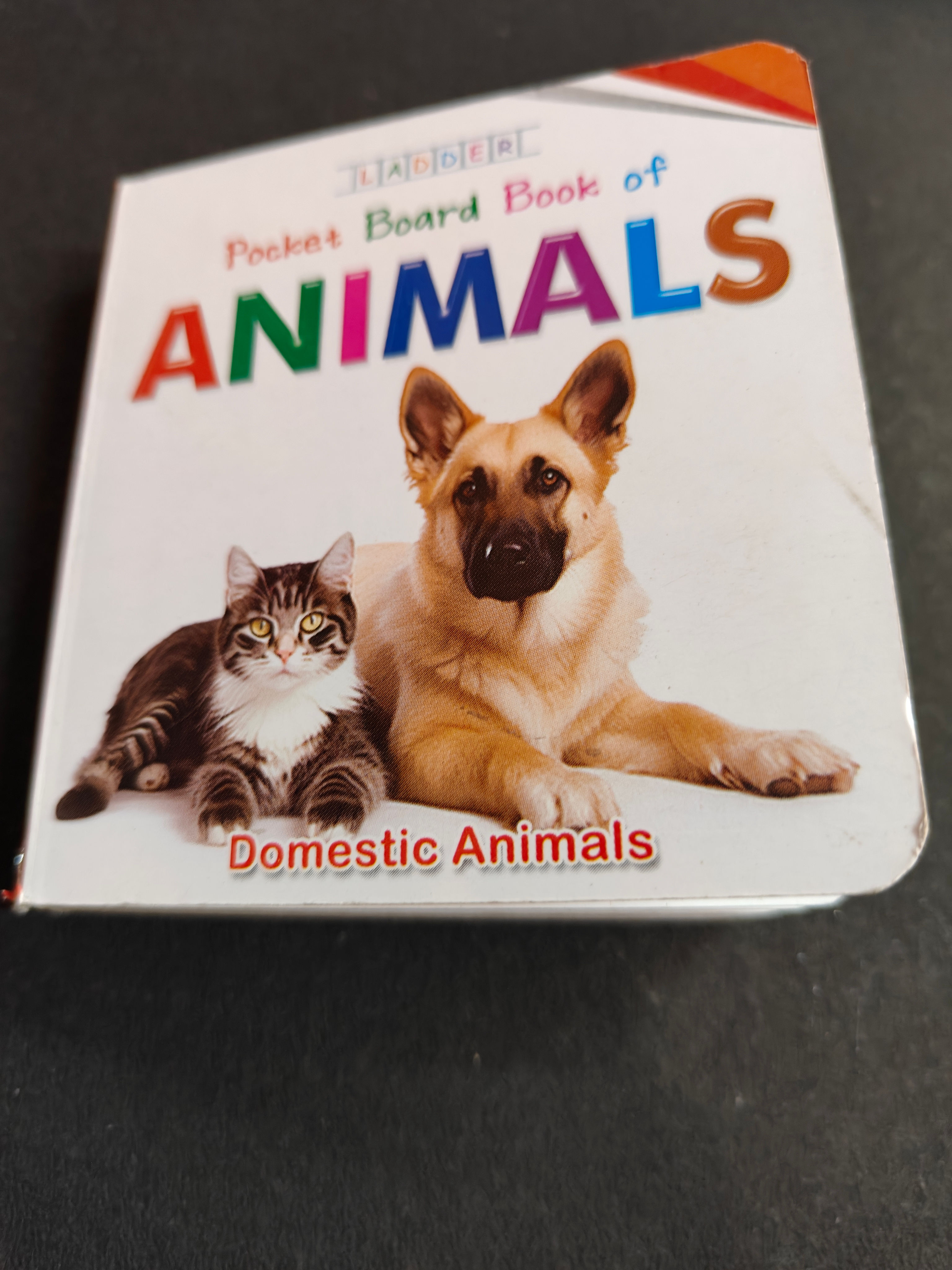 Kids Animals learning book