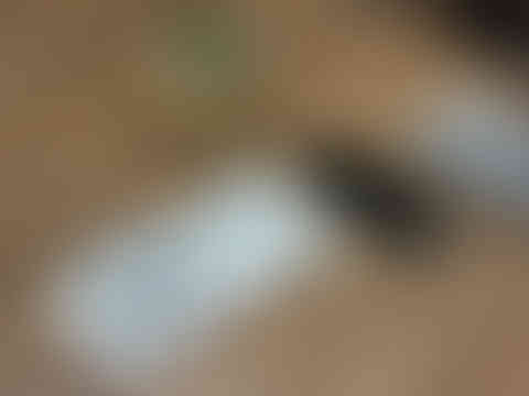 Lisboa de carga portada