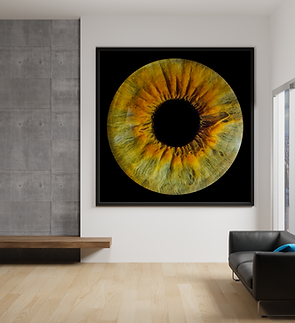 Green Iris Mock Up.png