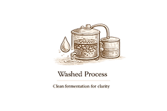 Washed Process.png