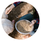 Icologiq Elements EQMS Animal Feed Industry