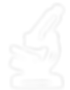 FP3D-visuals (3000 x 3000 px) (1)_edited