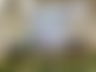 Mujeres Líderes en el Sector Portuario: WISTA Colombia y la SPB