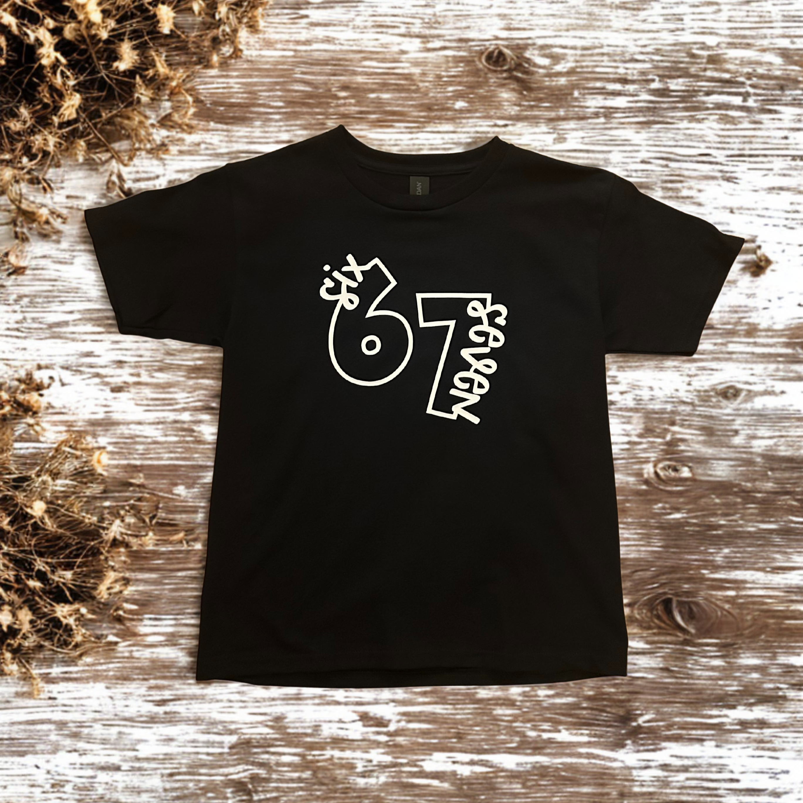 "Six-Seven"T-Shirt