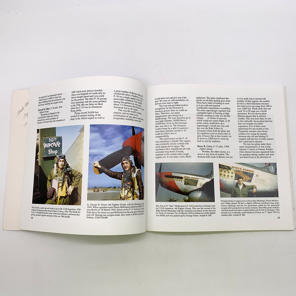 Thumbnail: "Fighters of WWII", Jeff Ethell and Robert Sand, WWII