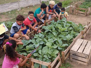 Horta Comunitária Agroecológica Pedagógica anexa à Escola de Farol