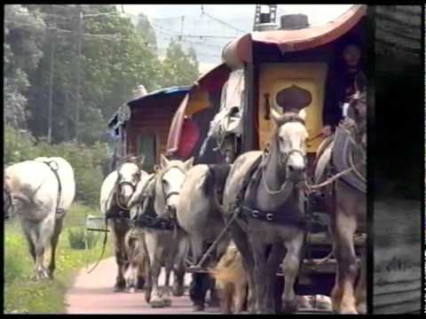 Miniature : DVD « Roule, Roulotte ! », 52’ (2001)