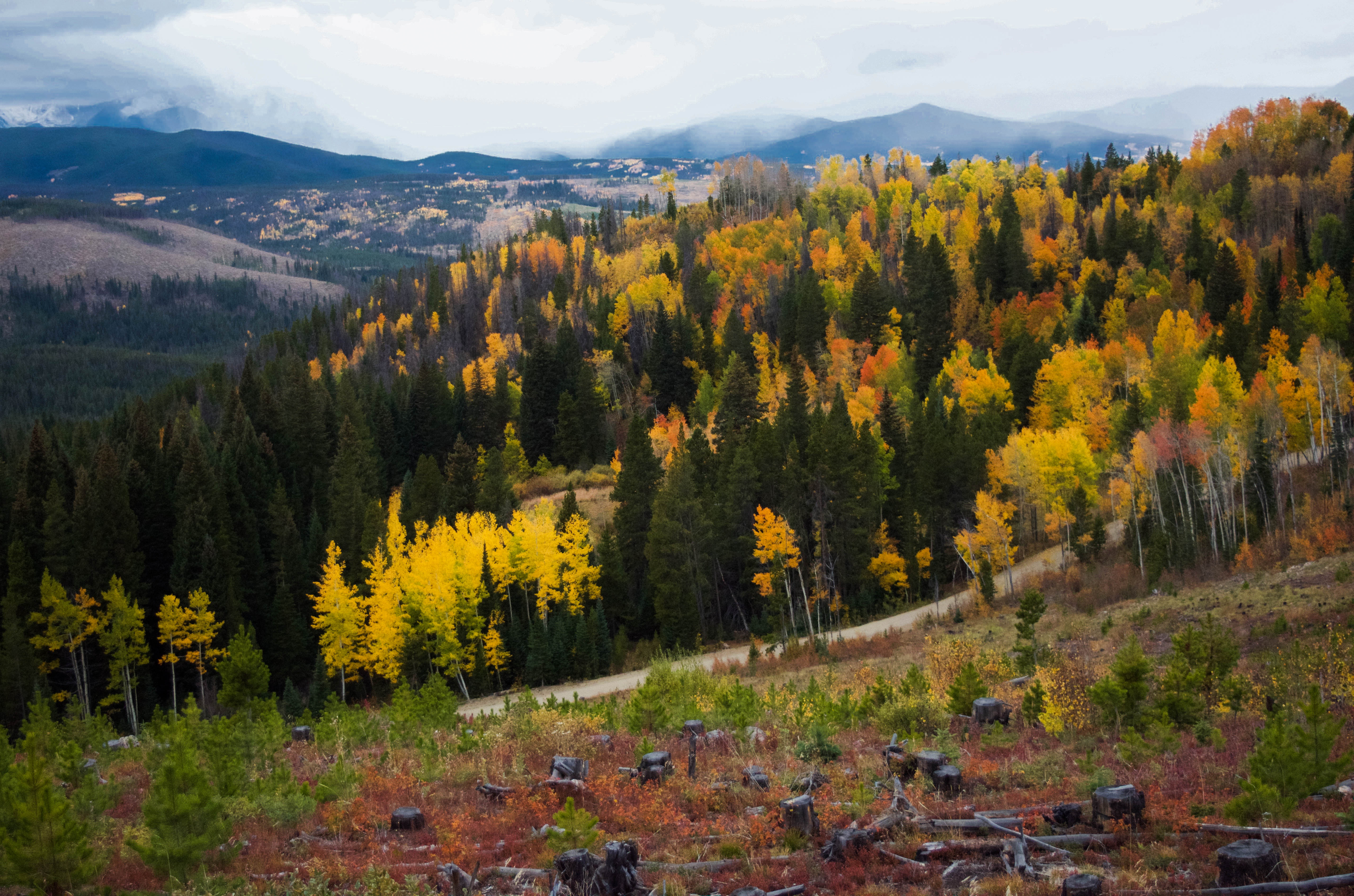 Autumn Landscape