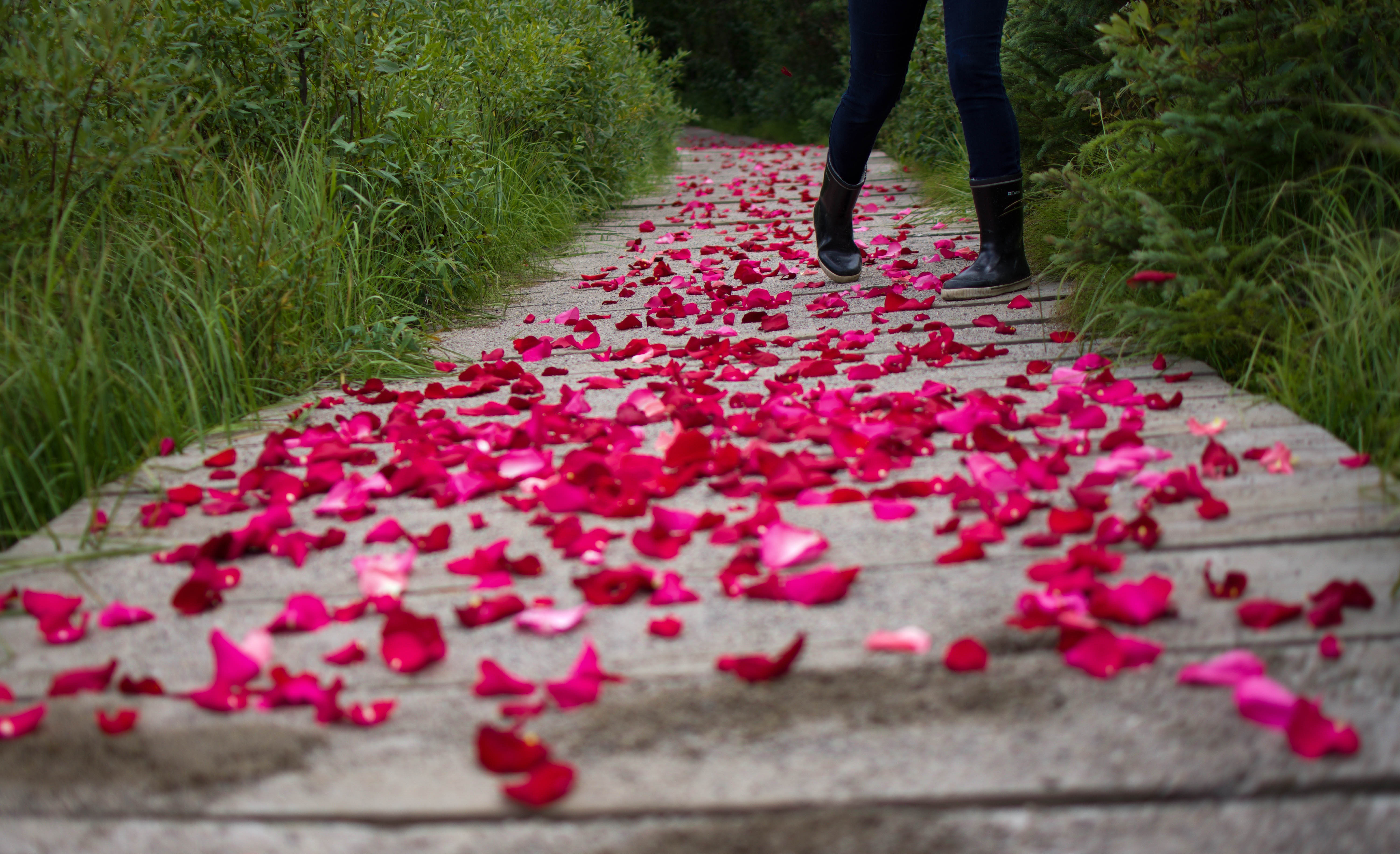 Engagement Flower Pedals