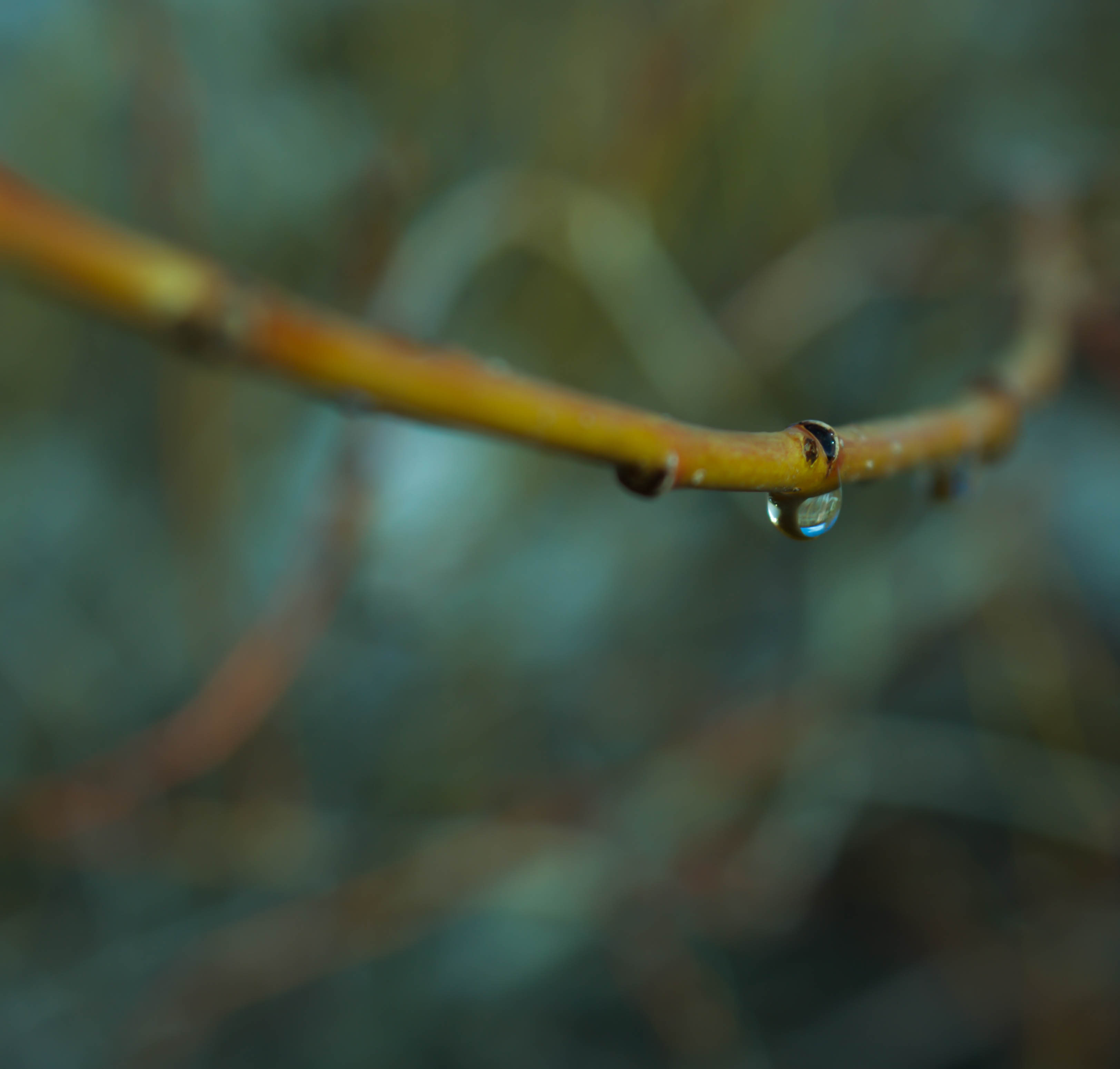 Droplet Rain