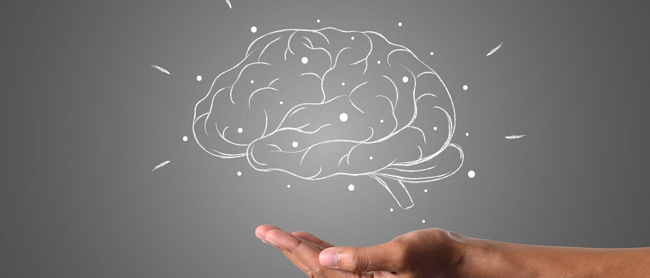 drawing of a brain on a gray chalk board with a human hand facing palm up below it.
From :
hainguyenrp-brain-4961452_1280.jpg