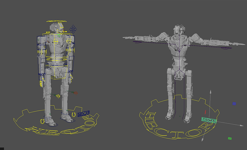 Rig Setup.png