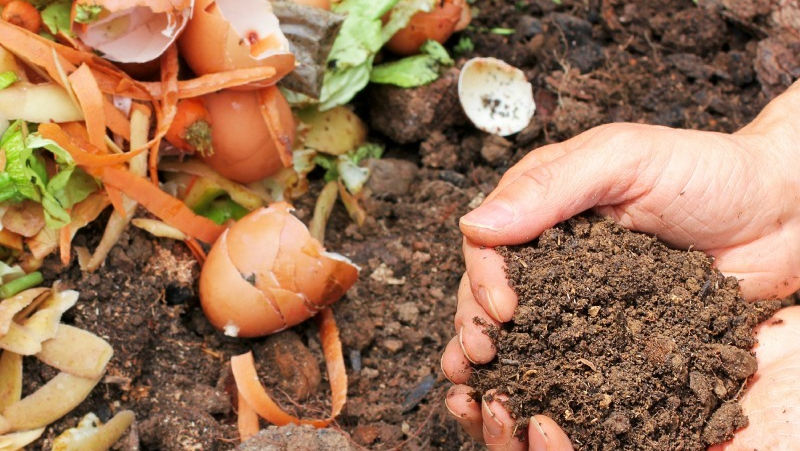 Ofrece SDR bioinsumos y mejoradores de suelo a productores