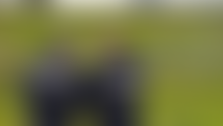 Truffa all'Unione Europea: beni sequestrati in provincia di Messina e Enna