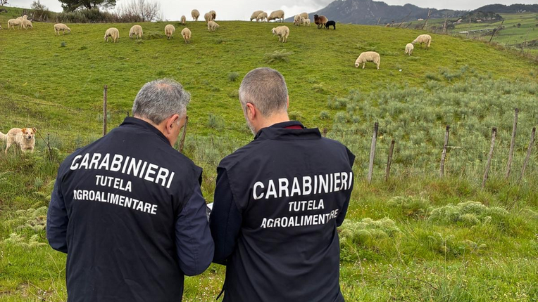 Truffa all'Unione Europea: beni sequestrati in provincia di Messina e Enna