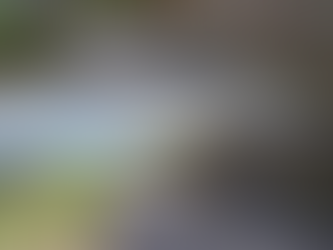 Montalbano Elicona a rischio isolamento per le frane del manto stradale