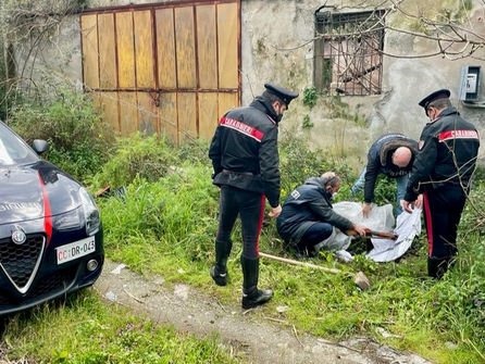 Anziano cacciatore sequestrato per aver ucciso un suino. Eseguiti tre provvedimenti cautelari