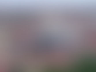 La regione per Barcellona prevede piccole somme per scuola, turismo e infrastrutture: "Elemosina"